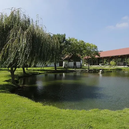 Domaine De Collen Lepine (Pas-de-Calais)